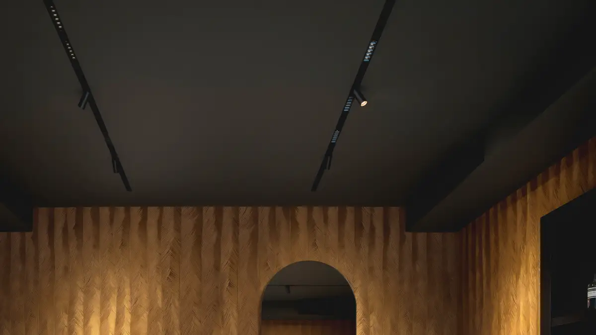 Magnetic Track