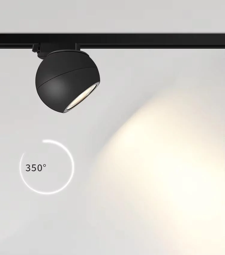 Magnetic track globe spots module