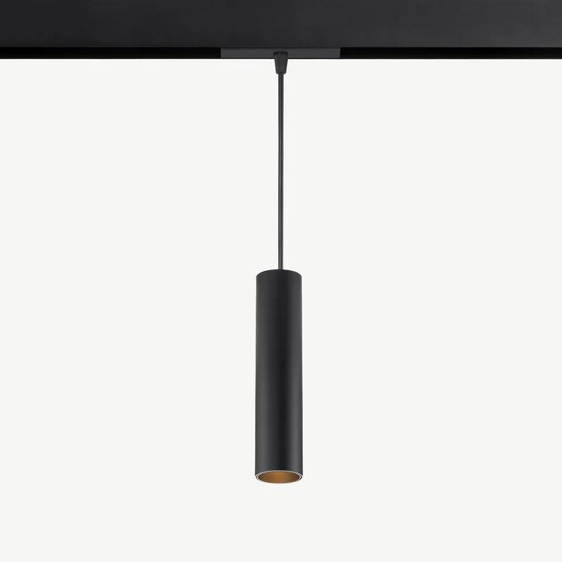 Magnetic track pendants module