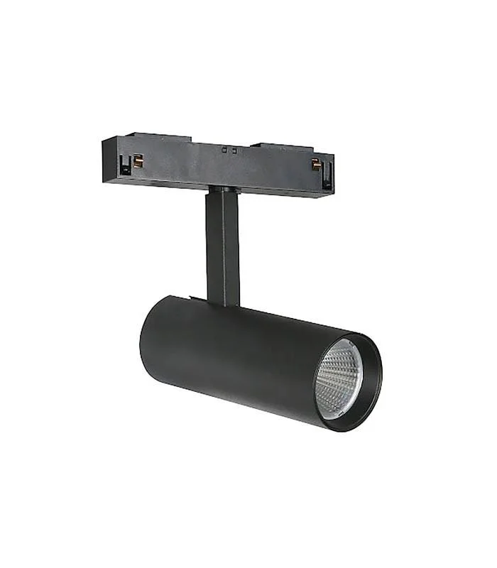 Magnetic track spotlights module